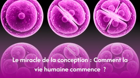 Human Reproduction 6 480
