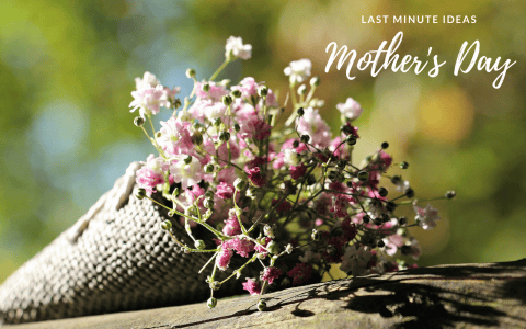 6 Last Minute Mother’s Day Gifts Your Kids Can Still Get You_1 last minute Mother’s Day gifts 6 Last Minute Mother’s Day Gifts Your Kids Can Still Get You 6 Last Minute Mother   s Day Gifts Your Kids Can Still Get You feat 480x300