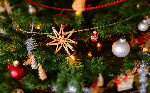 8 Adorable And Charming Mini Christmas Trees For Your Home Decor mini christmas trees 8 Adorable And Charming Mini Christmas Trees For Your Home Decor 8 Adorable And Charming Mini Christmas Trees For Your Home Decor feat 480x300