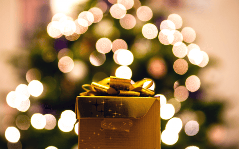 A Christmas Gift Guide To Help You Conquer Hearts This Holiday! christmas gift guide A Christmas Gift Guide To Help You Conquer Hearts This Holiday! A Christmas Gift Guide To Help You Conquer Hearts This Holiday feat 480x300
