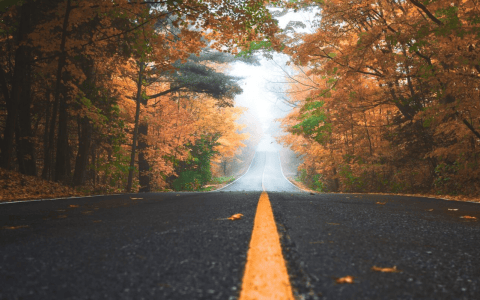 5 Best Places You Must Visit In fall Vacations fall vacations 5 Best Places You Must Visit In Fall Vacations 5 Best Places You Must Visit In fall Vacations11 480x300