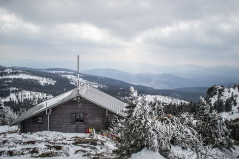 šumava