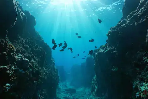 caños en alguna parte del los mares