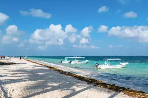 tour de snorkel