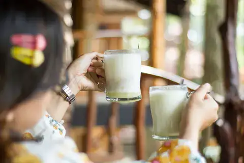 gastronomia en la selva maya