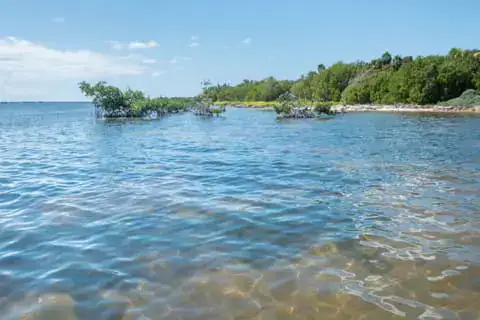 Reserveva donde pueden realizar buceo y snorkel