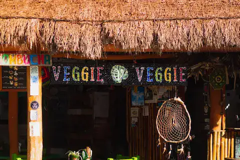 Restaurant vegano en puerto morelos