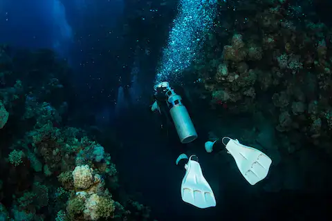 buceo en cenotes