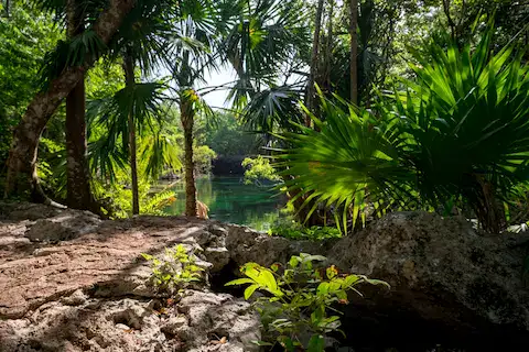 Cenote Sol y Luna