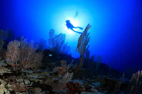 cursos de buceo