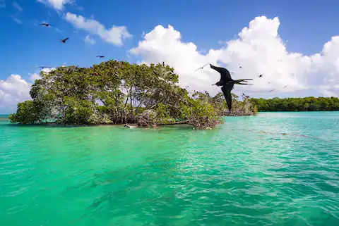 reserva de Siankan en quintana roo