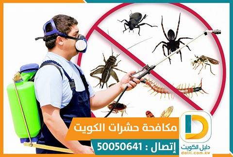 ابادة الحشرات الطائرة والزاحفة بالكويت 50050641