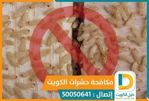 مكافحة الحشرات المنزليه بالكويت 50050641