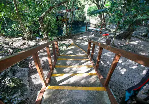 Escaleras al cenote verde lucero