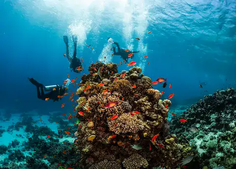 cursos de buceo