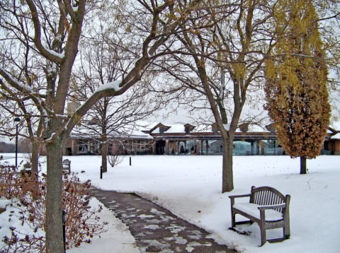 cesta
