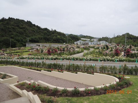 5DAローズガーデン