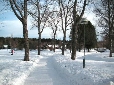 cesta