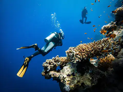 cursos de buceo