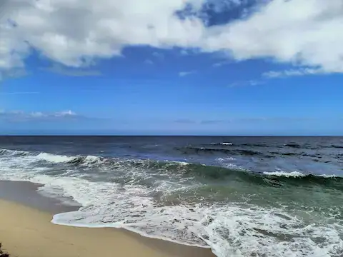 Playa de puerto morelos