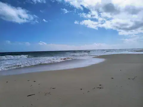 Playa Punta Brava