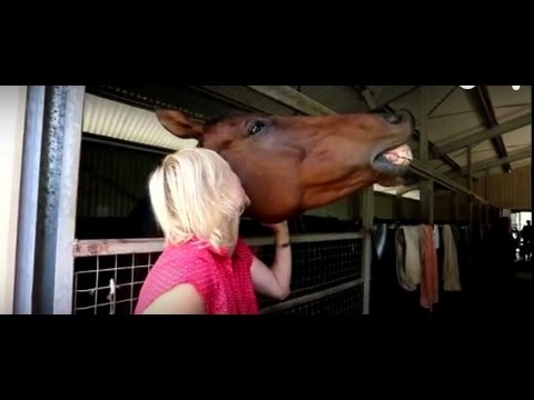 promotional video for the Bonogin Valley Horse Retreat