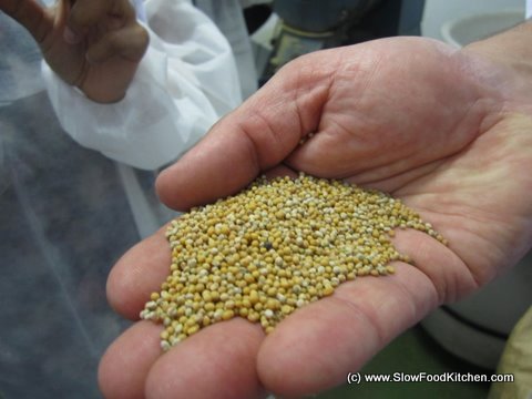 Mustard seeds