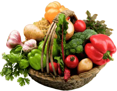 Harvesting vegetables in a bowl
