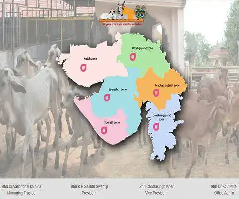 Shree Gujarat Rajya Gaushala Panjrapol Sangh Website – SMN Digital Consultancy