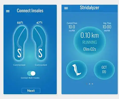 Stridalyzer