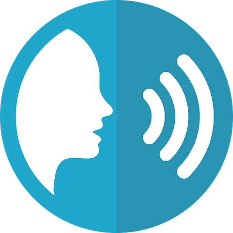 Voice vector