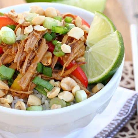Slow Cooker Thai Peanut Pork