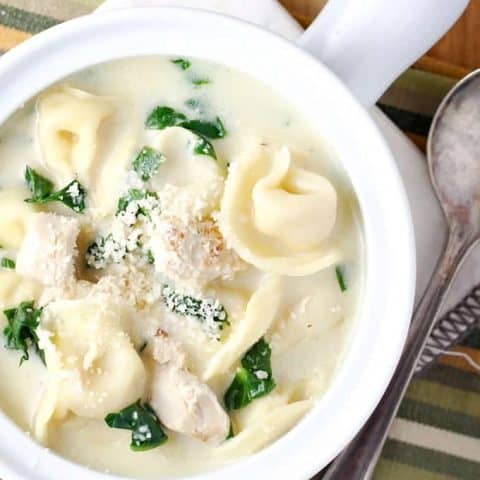 Chicken Tortellini Alfredo Soup