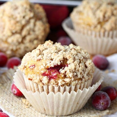 Pumpkin Cranberry Streusel Muffins
