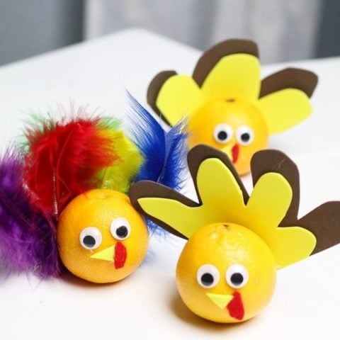 Thanksgiving Craft for Kids