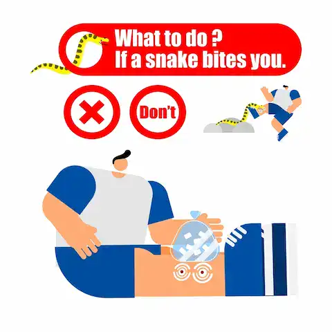 Imagen de mordedura de serpiente