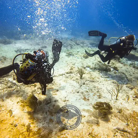 Tours de buceo
