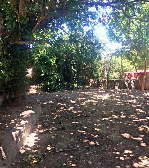 Evia old stone renovation house near beach