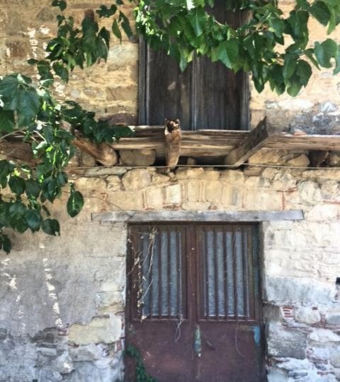 Evia old stone renovation house near beach