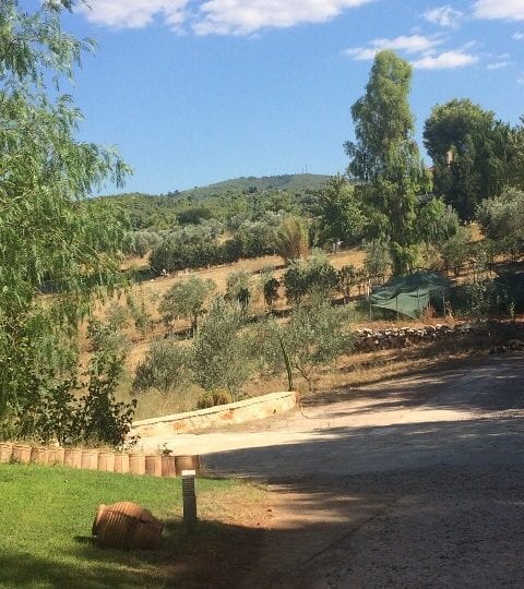 luxury villa for sale at Oropos