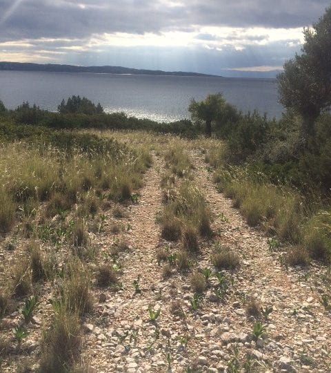 Salandi beachfront development land