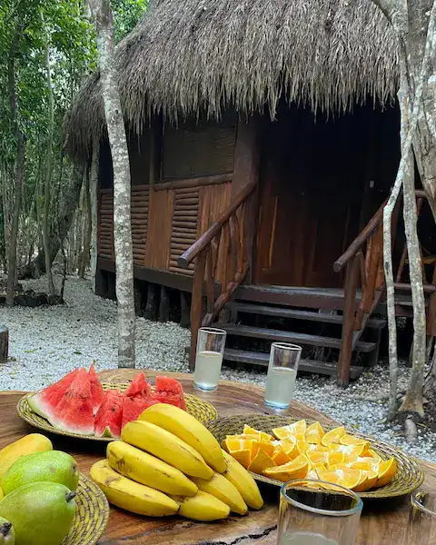 HOSPEDAJE EN LA SELVA MAYA