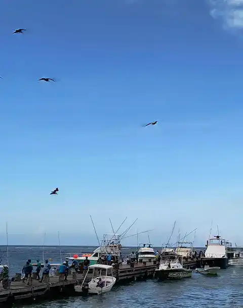 pesca deportiva