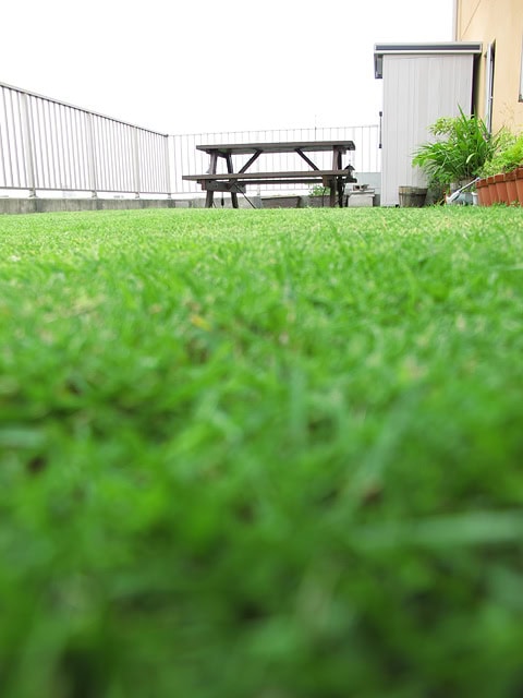 芝刈り日和 芝刈り日和
