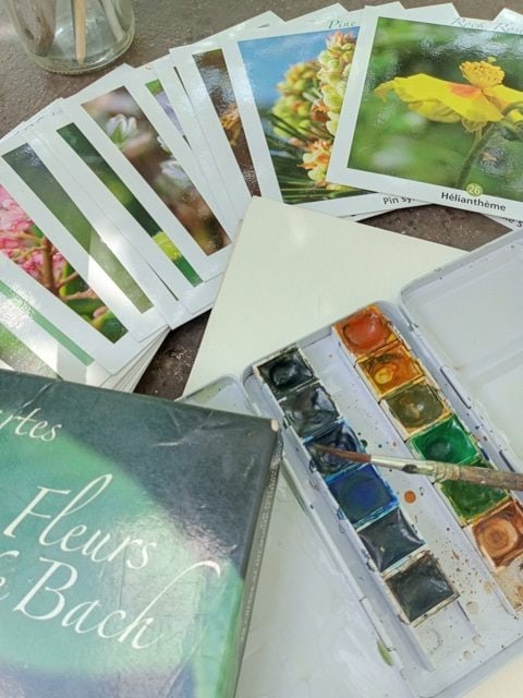 Aquarelle et fleurs de Bach