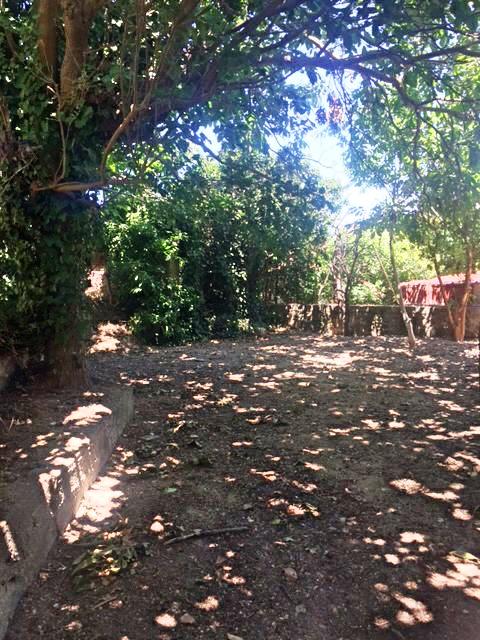 Evia old stone renovation house near beach