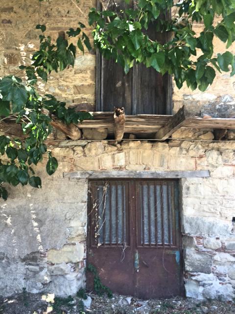 Evia old stone renovation house near beach