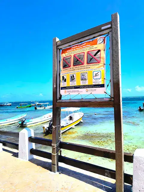 playa publica de puerto morelos