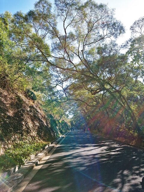 沙田至慈雲山, 慈沙古道