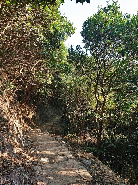 沙田至慈雲山, 慈沙古道